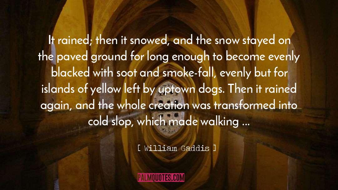 William Gaddis Quotes: It rained; then it snowed,