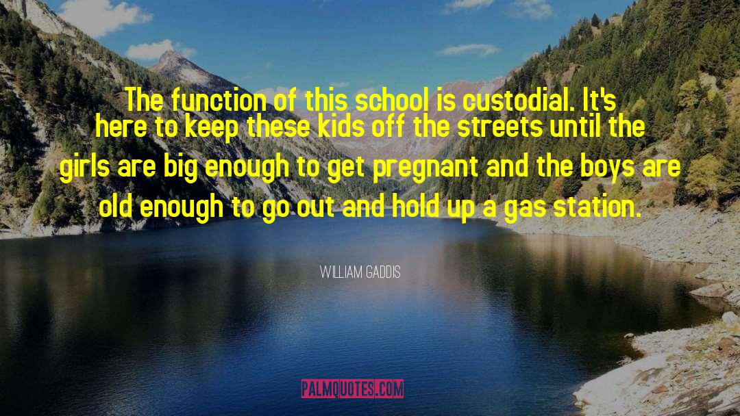William Gaddis Quotes: The function of this school