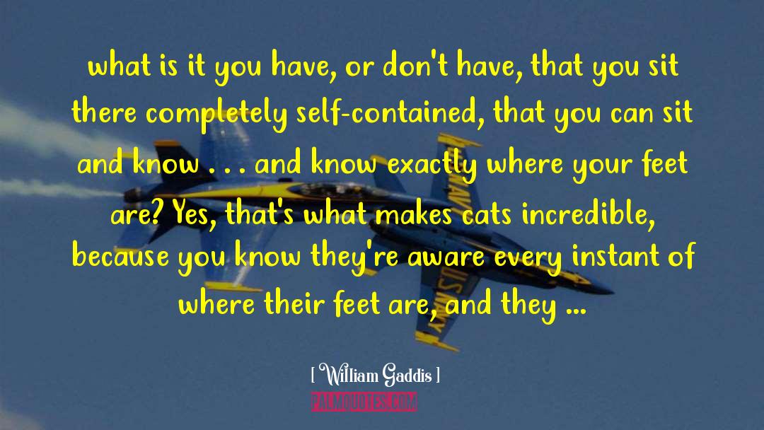 William Gaddis Quotes: what is it you have,