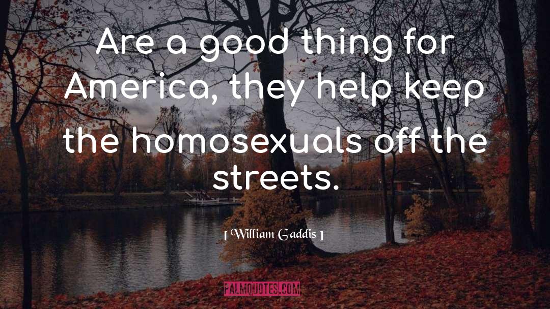William Gaddis Quotes: Are a good thing for