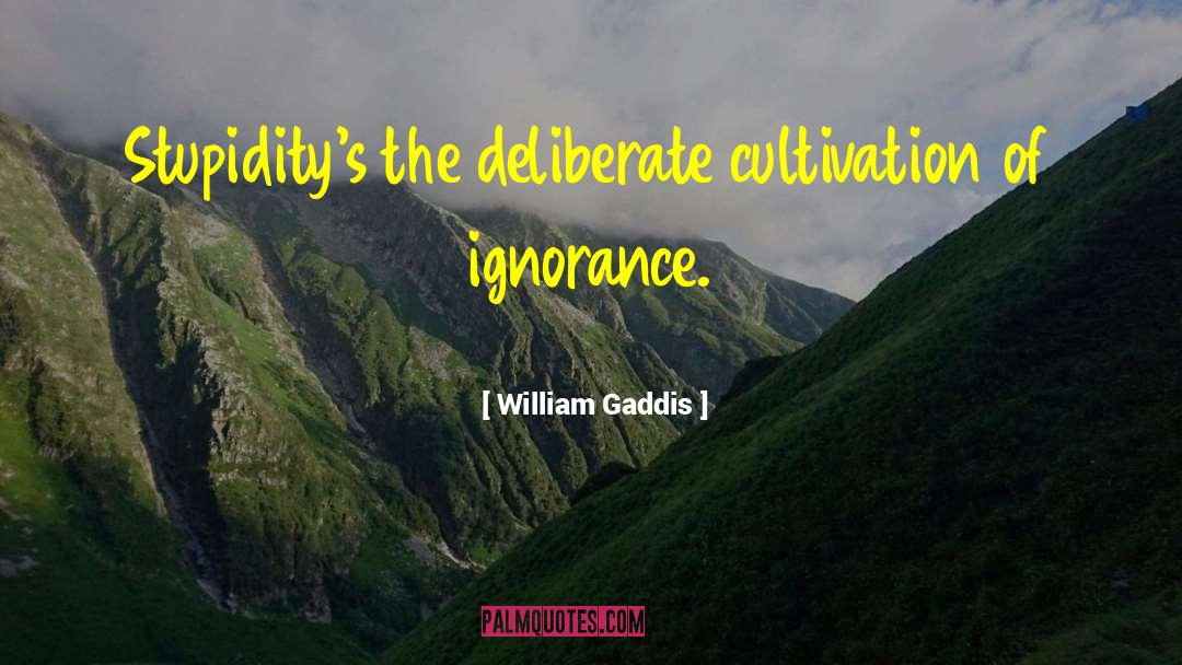William Gaddis Quotes: Stupidity's the deliberate cultivation of