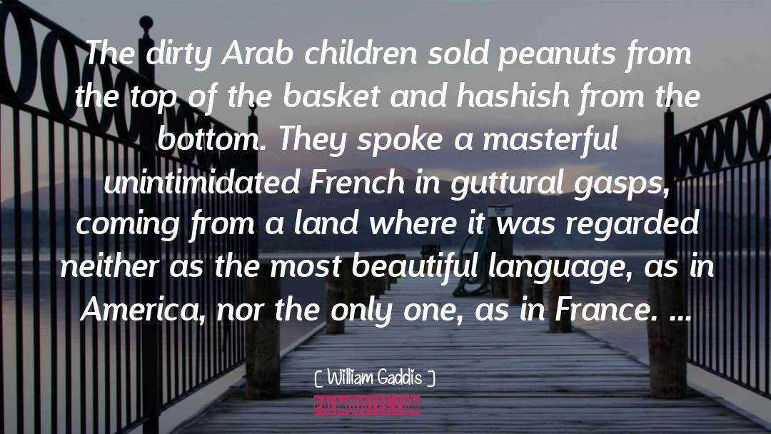 William Gaddis Quotes: The dirty Arab children sold