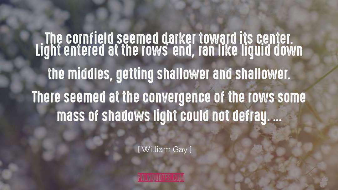 William Gay Quotes: The cornfield seemed darker toward