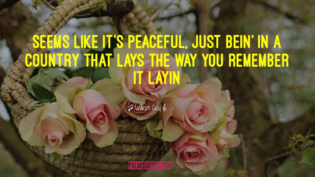 William Gay Quotes: Seems like it's peaceful, just