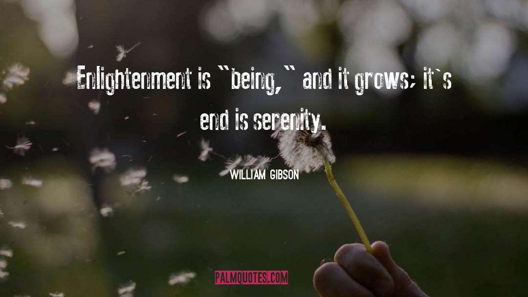 William Gibson Quotes: Enlightenment is 