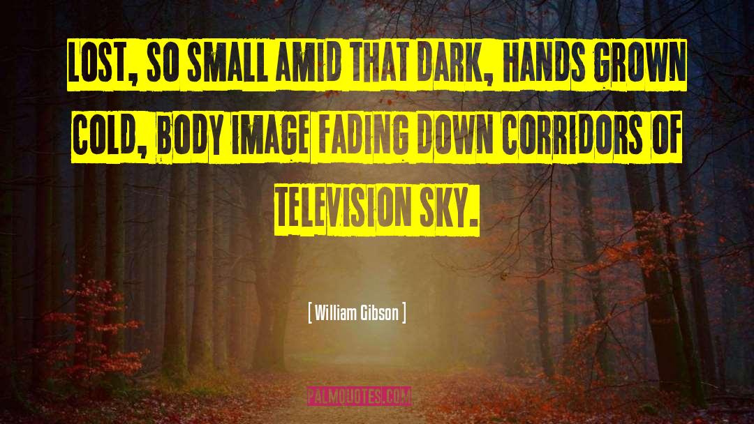 William Gibson Quotes: Lost, so small amid that