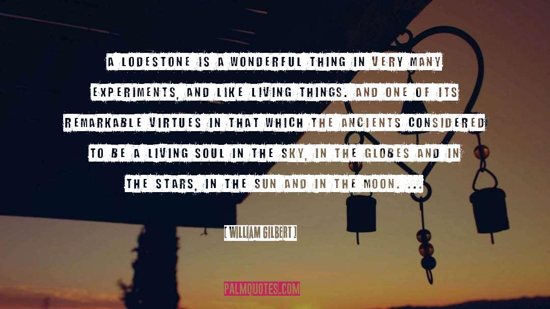 William Gilbert Quotes: A lodestone is a wonderful