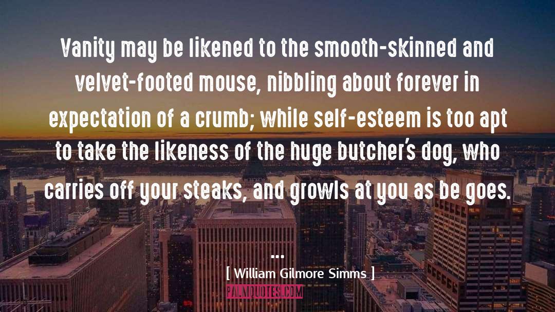 William Gilmore Simms Quotes: Vanity may be likened to