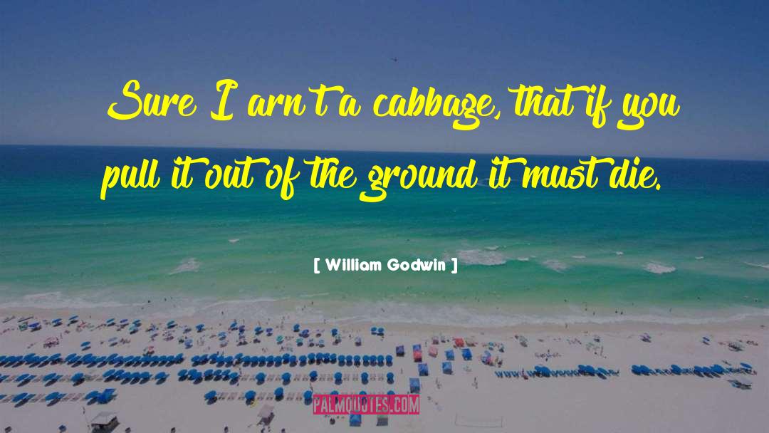 William Godwin Quotes: Sure I arn't a cabbage,