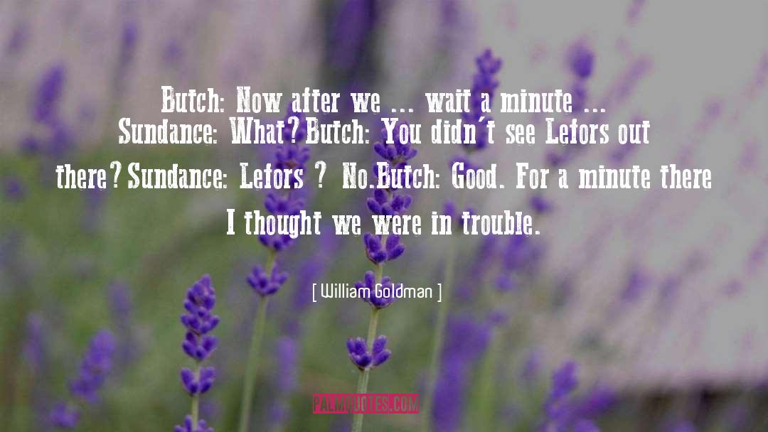 William Goldman Quotes: Butch: Now after we ...