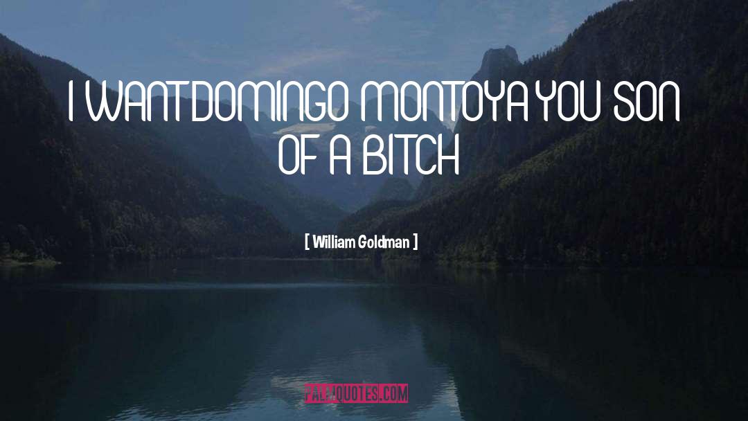 William Goldman Quotes: I WANT DOMINGO MONTOYA YOU