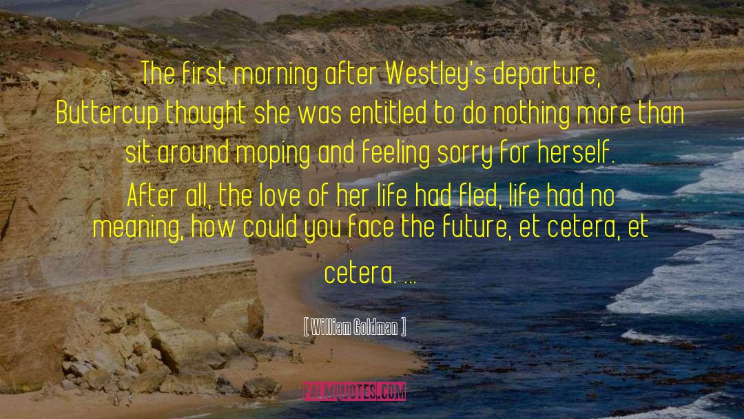 William Goldman Quotes: The first morning after Westley's