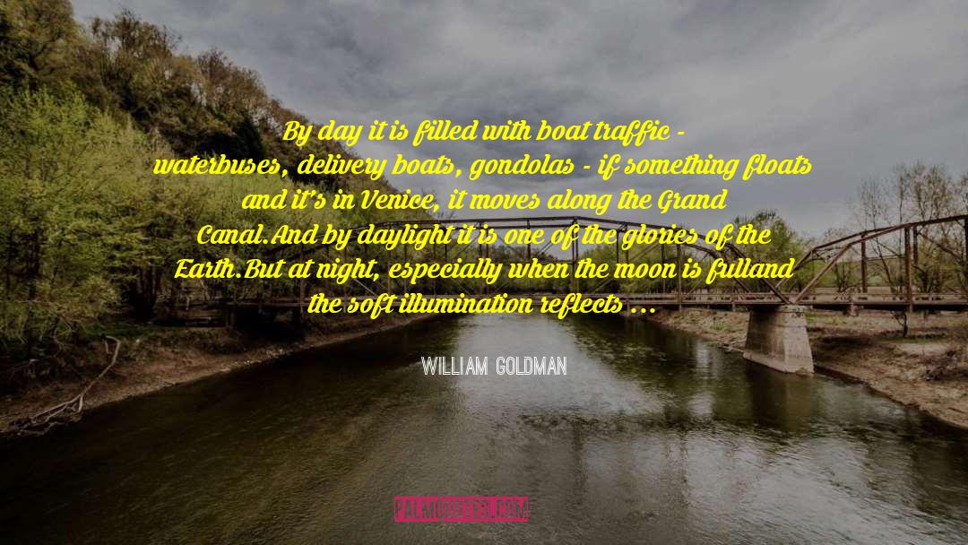 William Goldman Quotes: By day it is filled