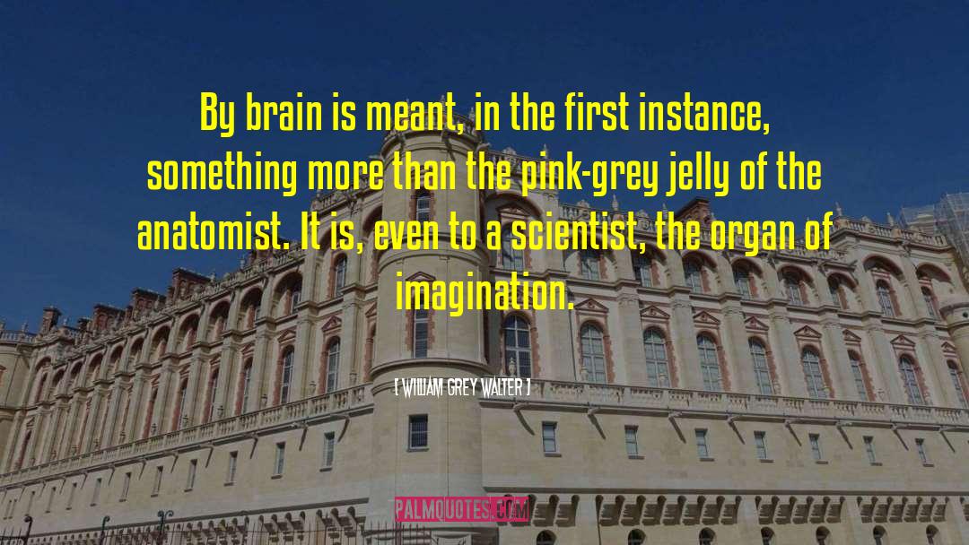 William Grey Walter Quotes: By brain is meant, in