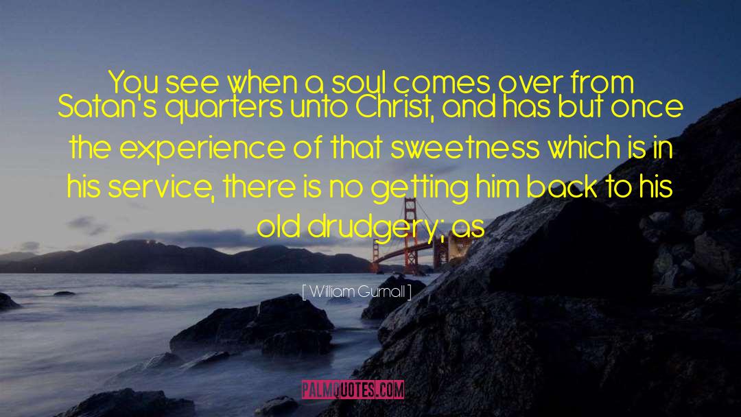 William Gurnall Quotes: You see when a soul