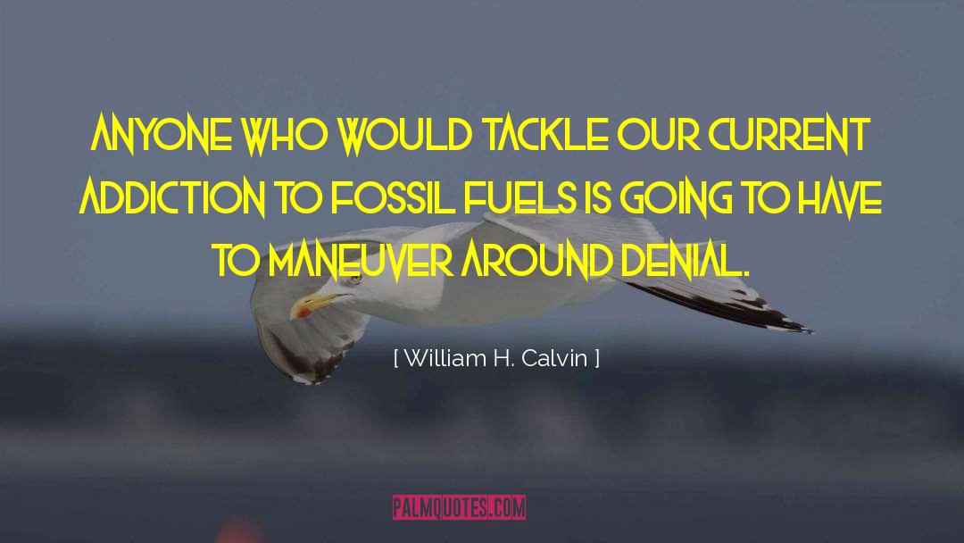 William H. Calvin Quotes: Anyone who would tackle our