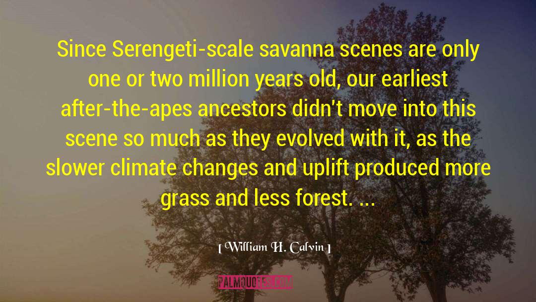 William H. Calvin Quotes: Since Serengeti-scale savanna scenes are