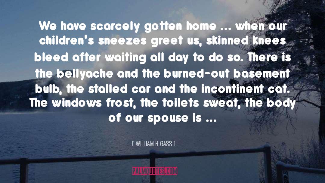William H Gass Quotes: We have scarcely gotten home