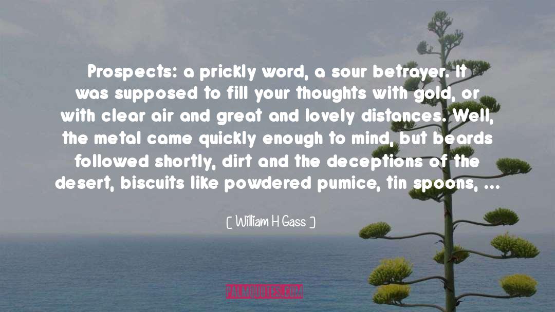 William H Gass Quotes: Prospects: a prickly word, a
