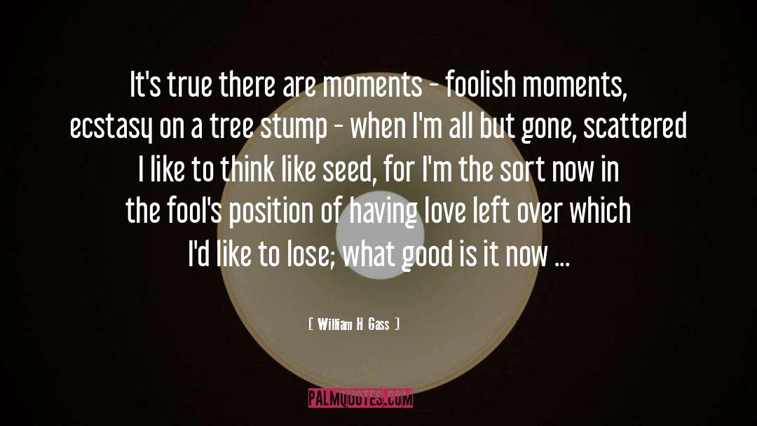 William H Gass Quotes: It's true there are moments