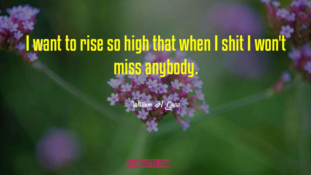 William H Gass Quotes: I want to rise so