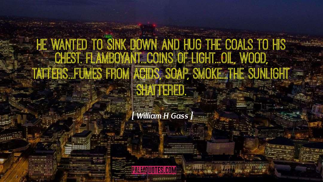 William H Gass Quotes: He wanted to sink down