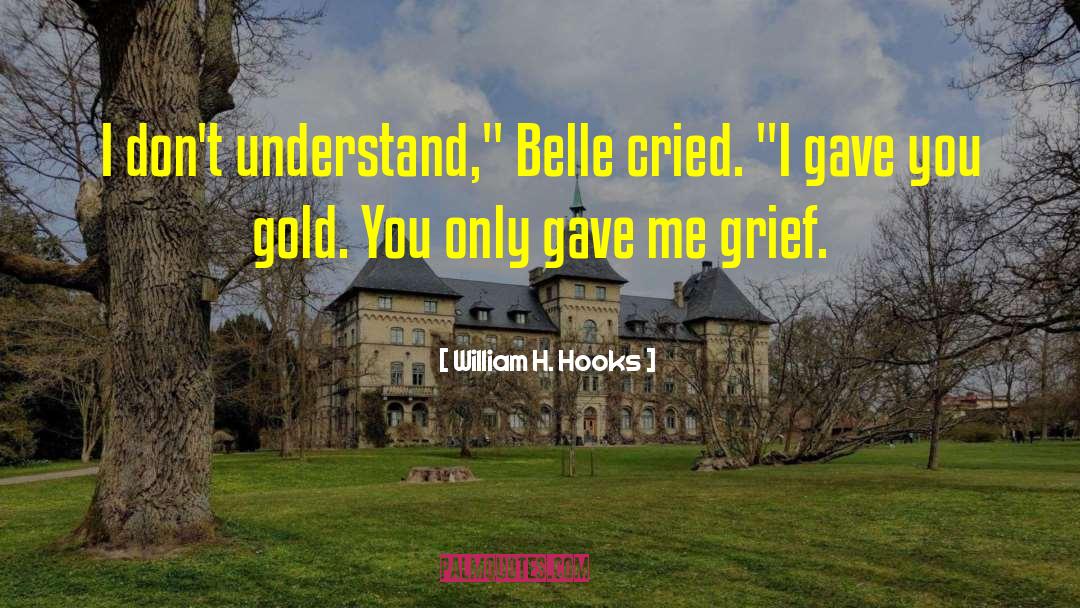 William H. Hooks Quotes: I don't understand,