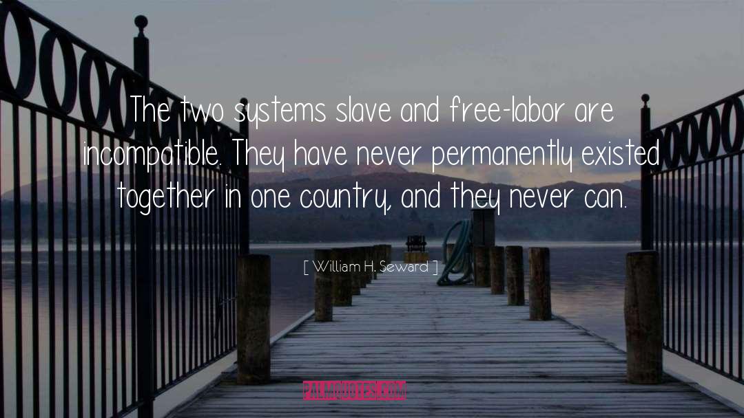 William H. Seward Quotes: The two systems slave and