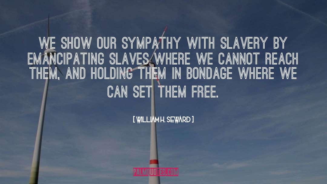 William H. Seward Quotes: We show our sympathy with
