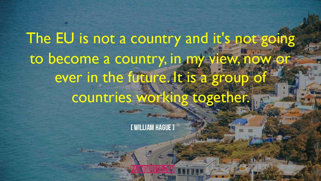William Hague Quotes: The EU is not a