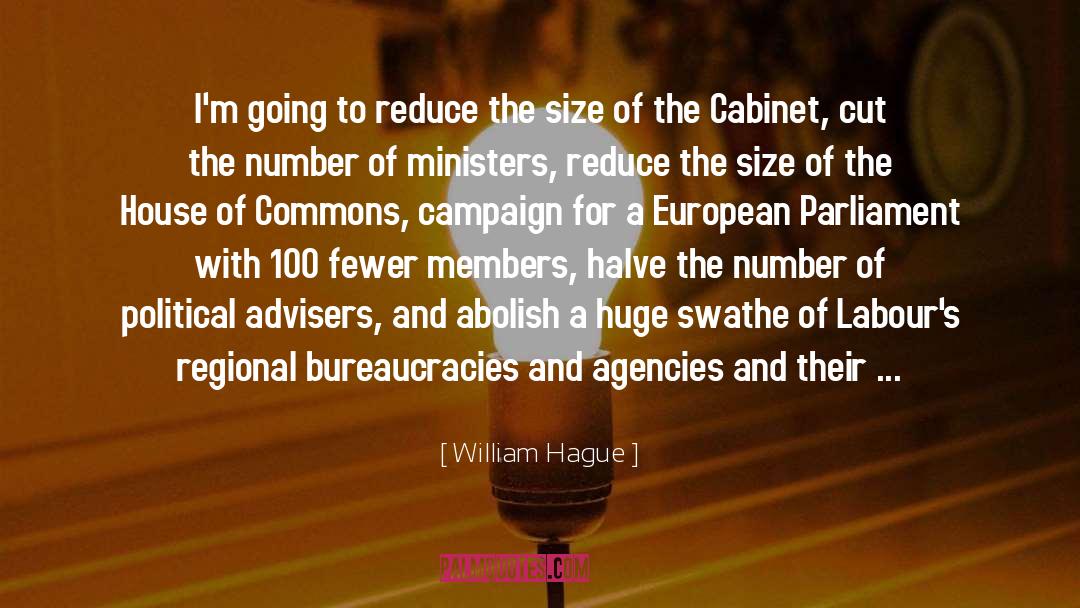 William Hague Quotes: I'm going to reduce the