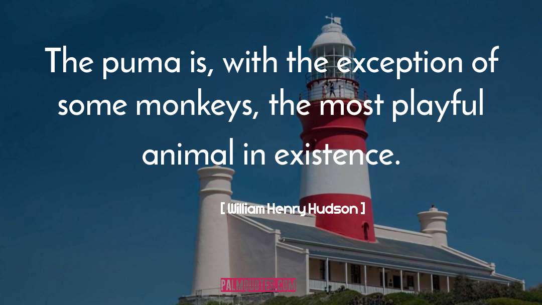 William Henry Hudson Quotes: The puma is, with the