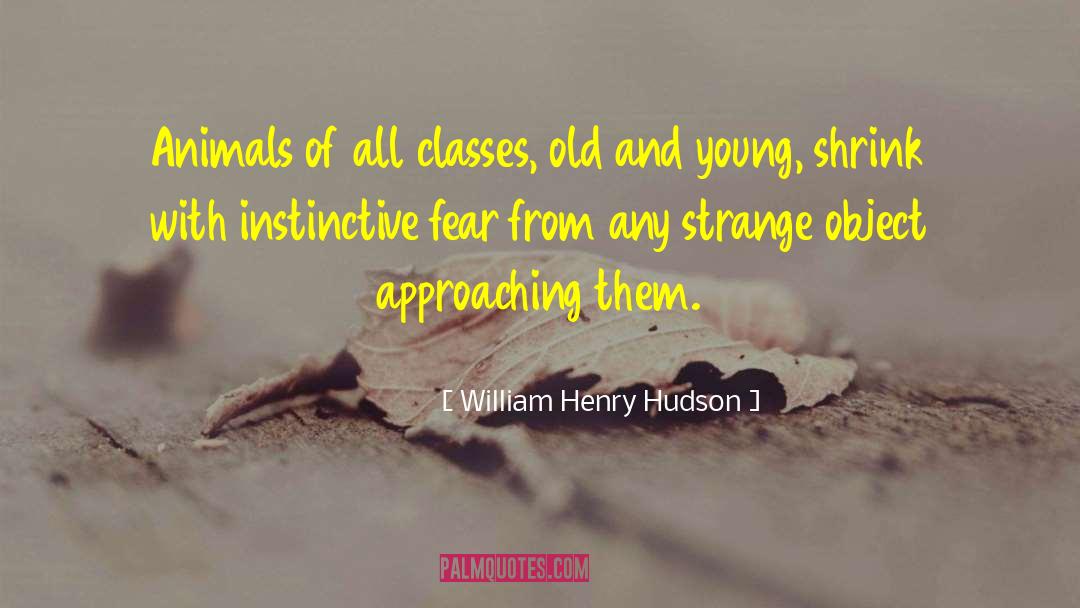 William Henry Hudson Quotes: Animals of all classes, old