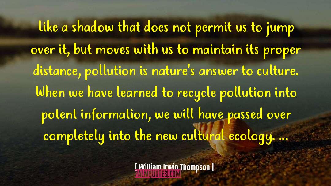 William Irwin Thompson Quotes: Like a shadow that does