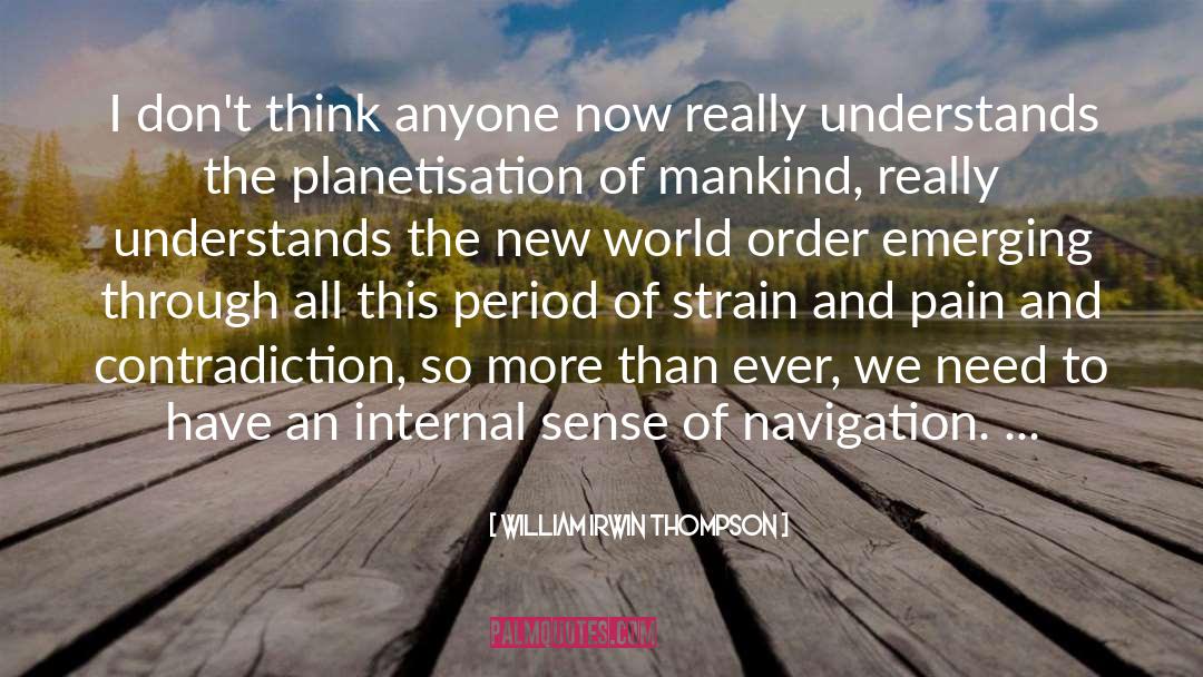 William Irwin Thompson Quotes: I don't think anyone now