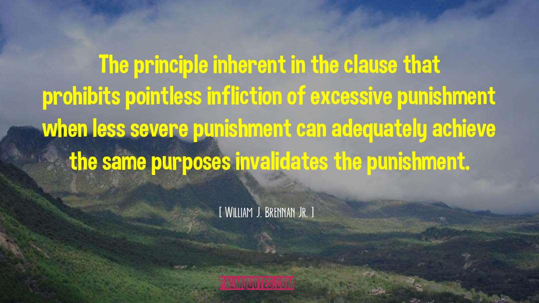 William J. Brennan Jr. Quotes: The principle inherent in the