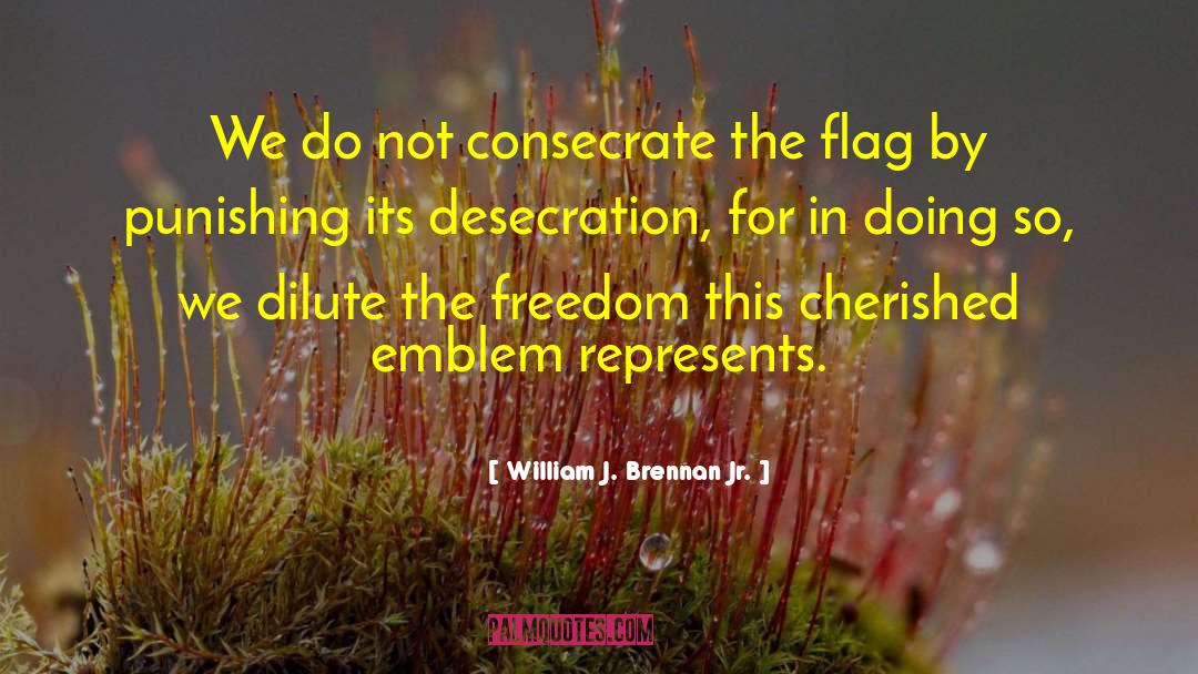 William J. Brennan Jr. Quotes: We do not consecrate the