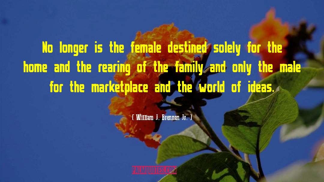 William J. Brennan Jr. Quotes: No longer is the female