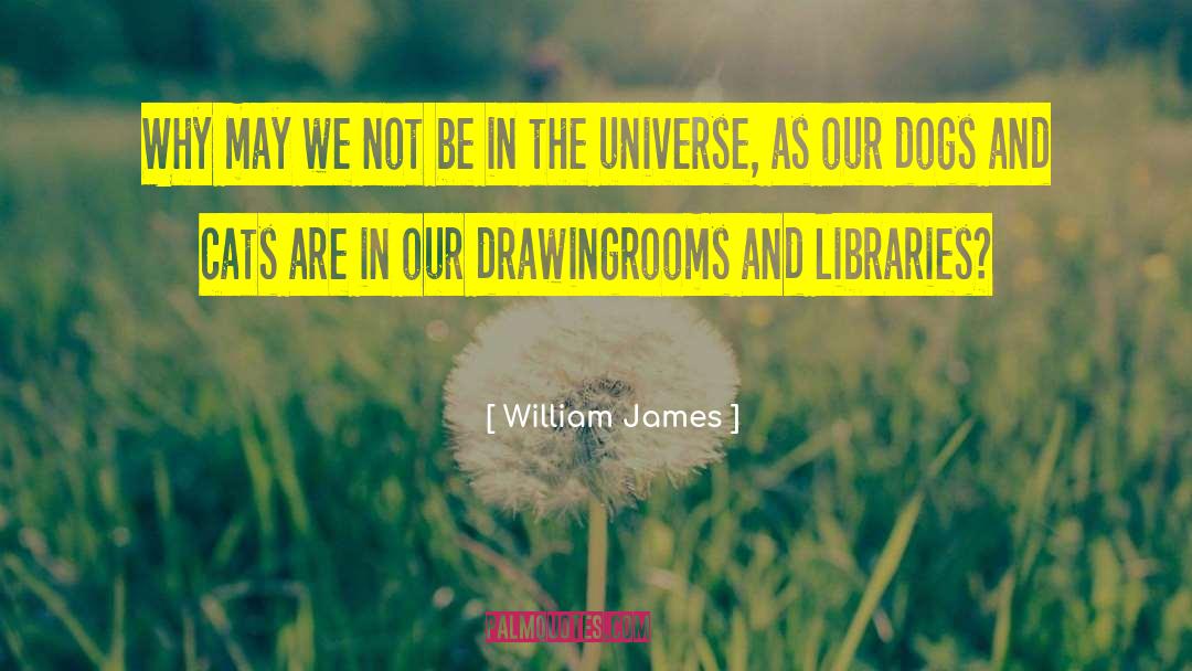 William James Quotes: Why may we not be