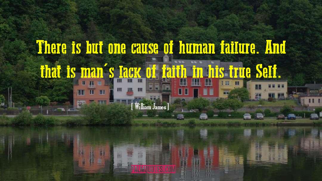 William James Quotes: There is but one cause