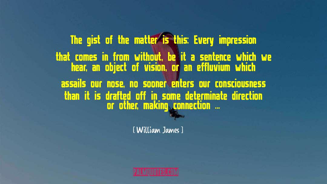 William James Quotes: The gist of the matter