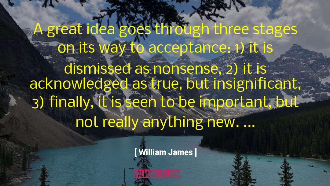 William James Quotes: A great idea goes through