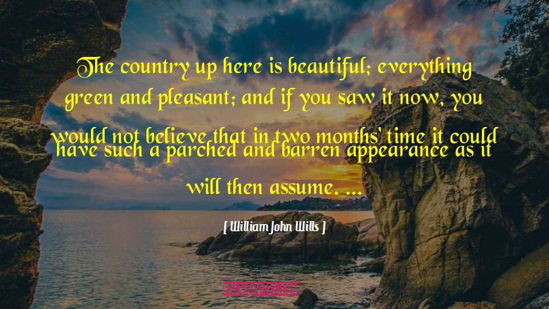 William John Wills Quotes: The country up here is