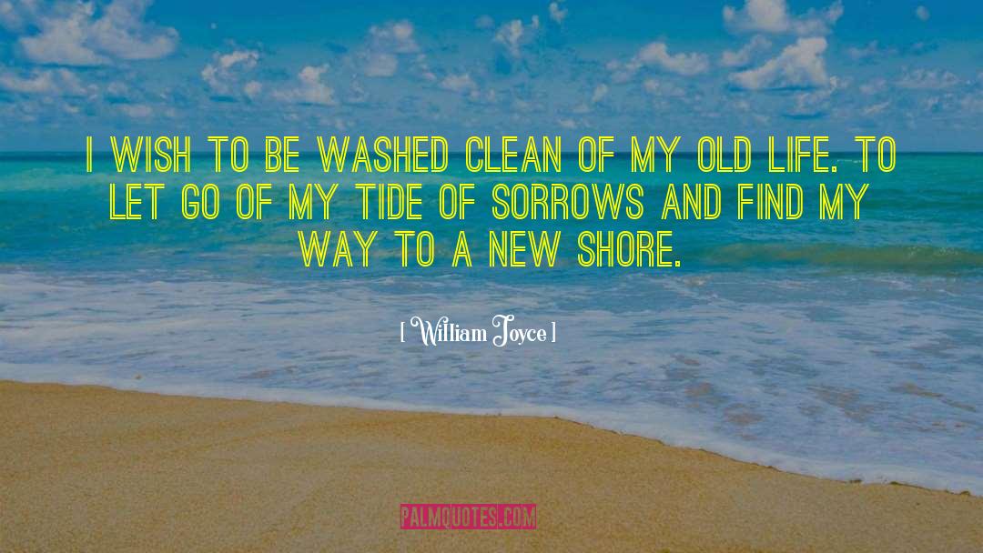 William Joyce Quotes: I wish to be washed