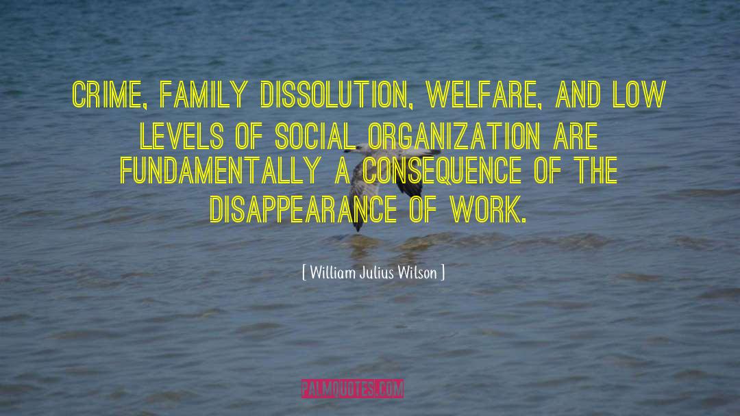William Julius Wilson Quotes: Crime, family dissolution, welfare, and