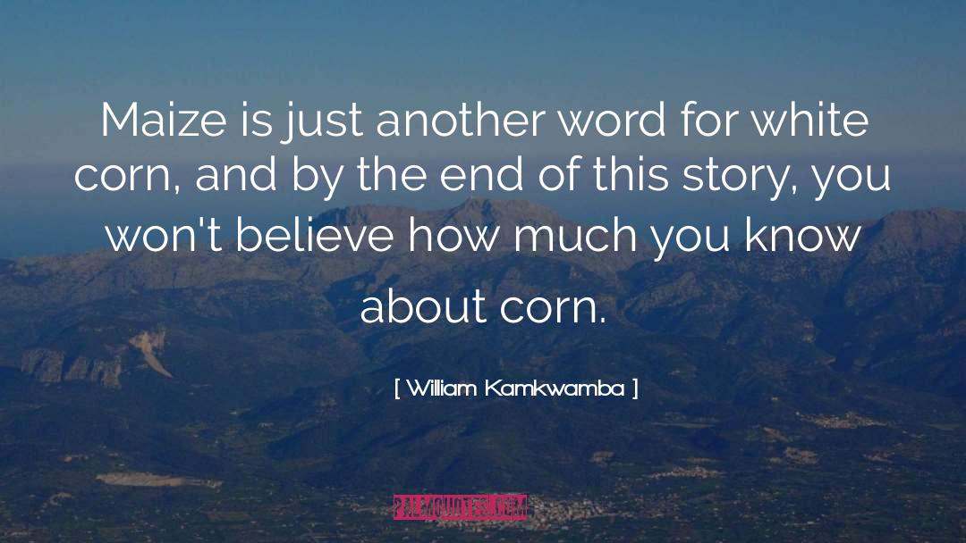 William Kamkwamba Quotes: Maize is just another word