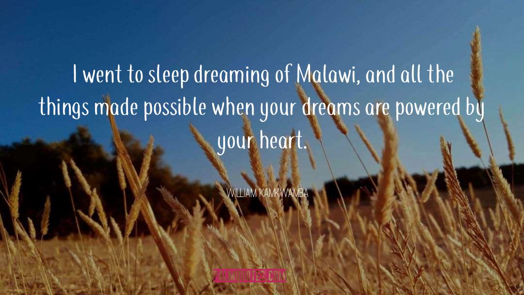 William Kamkwamba Quotes: I went to sleep dreaming