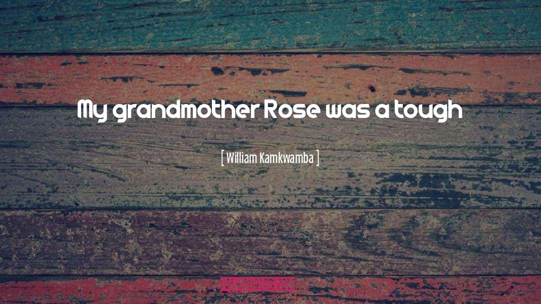 William Kamkwamba Quotes: My grandmother Rose was a