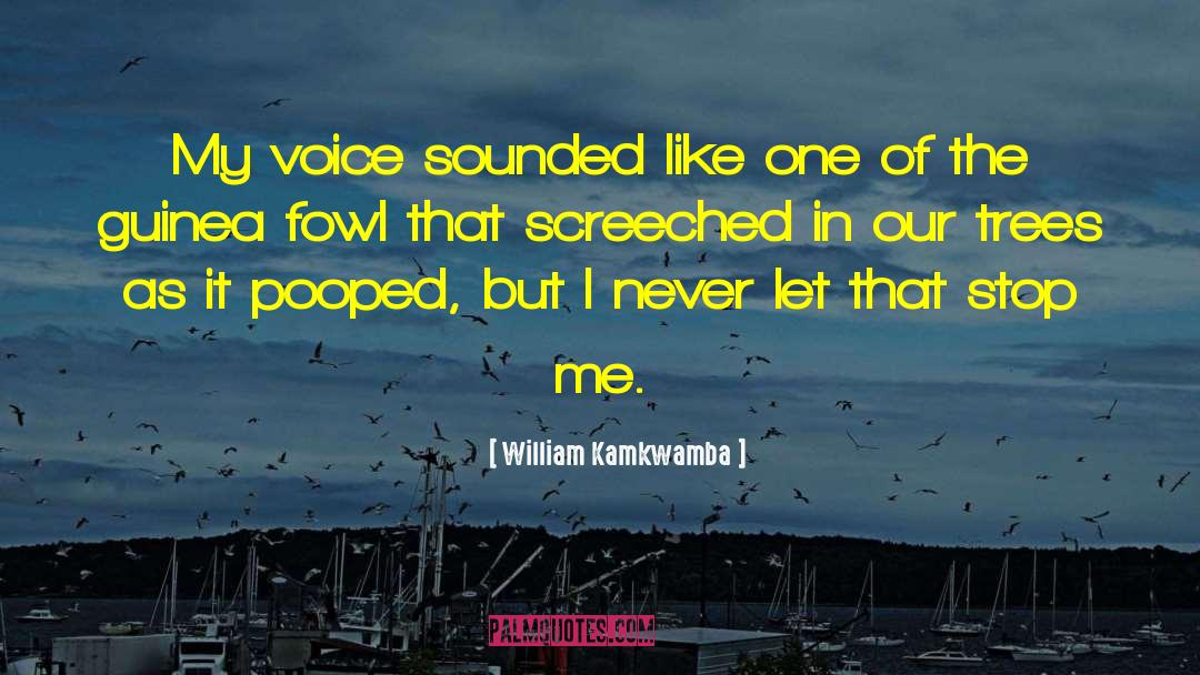 William Kamkwamba Quotes: My voice sounded like one