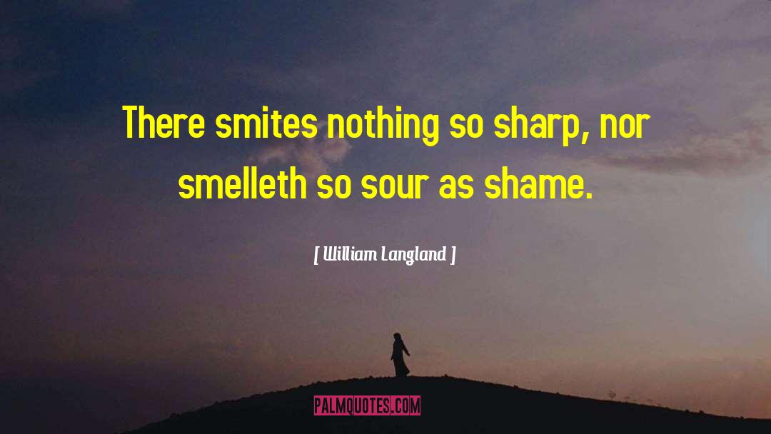 William Langland Quotes: There smites nothing so sharp,